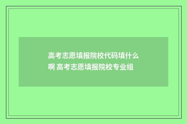 高考志愿填报院校代码填什么啊 高考志愿填报院校专业组
