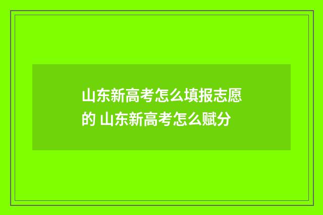 山东新高考怎么填报志愿的 山东新高考怎么赋分