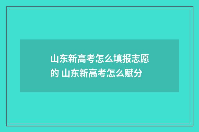 山东新高考怎么填报志愿的 山东新高考怎么赋分