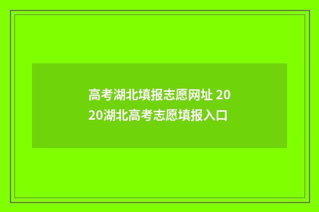 高考湖北填报志愿网址 2020湖北高考志愿填报入口