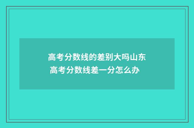 高考分数线的差别大吗山东 高考分数线差一分怎么办