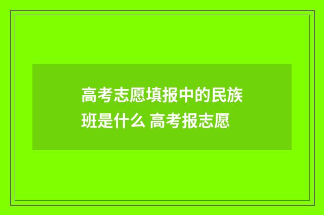 高考志愿填报中的民族班是什么 高考报志愿