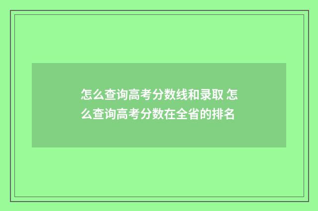 怎么查询高考分数线和录取 怎么查询高考分数在全省的排名