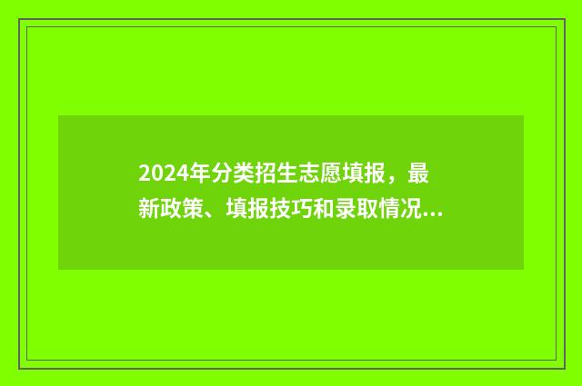2024年分类招生志愿填报，最新政策、填报技巧和录取情况 2024年分类招生考试成绩查询