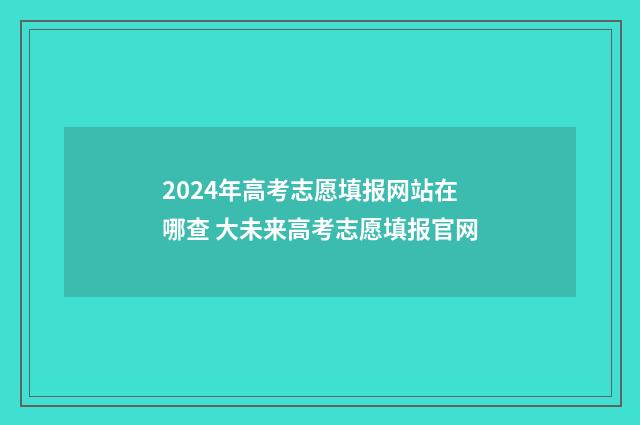 2024年高考志愿填报网站在哪查 大未来高考志愿填报官网