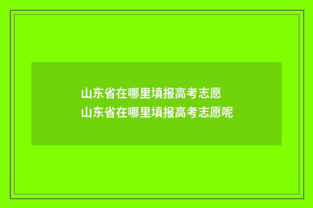 山东省在哪里填报高考志愿 山东省在哪里填报高考志愿呢