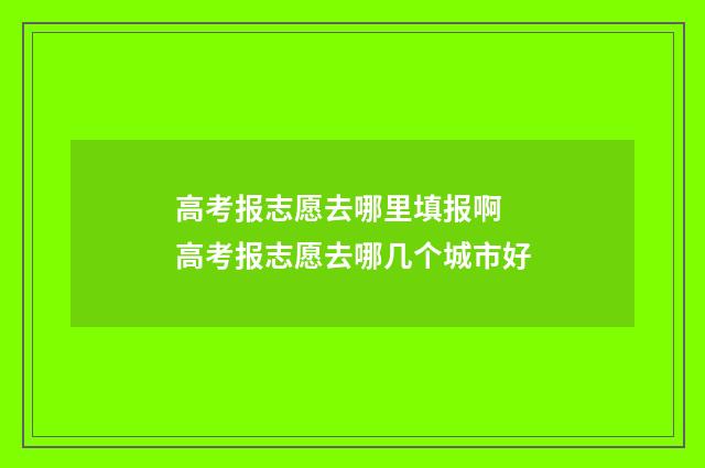 高考报志愿去哪里填报啊 高考报志愿去哪几个城市好