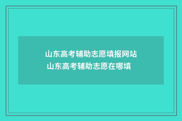山东高考辅助志愿填报网站 山东高考辅助志愿在哪填