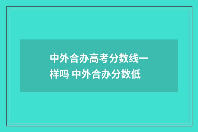 中外合办高考分数线一样吗 中外合办分数低