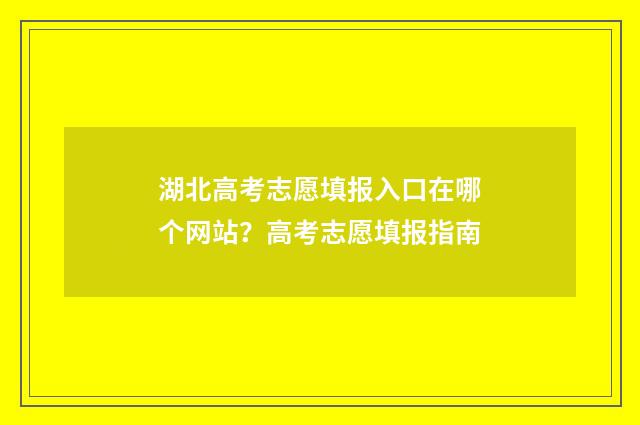 湖北高考志愿填报入口在哪个网站？高考志愿填报指南