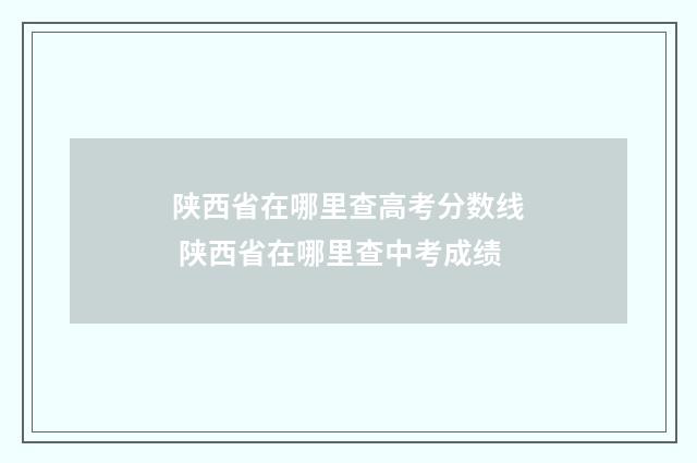 陕西省在哪里查高考分数线 陕西省在哪里查中考成绩