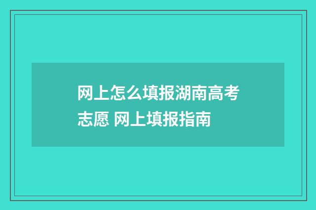 网上怎么填报湖南高考志愿 网上填报指南