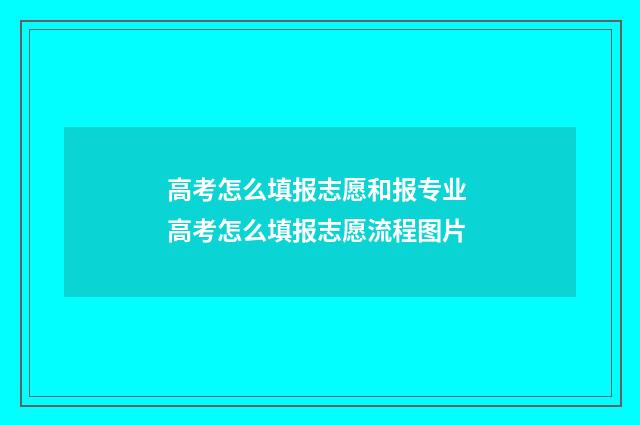 高考怎么填报志愿和报专业 高考怎么填报志愿流程图片