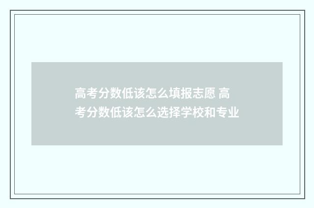 高考分数低该怎么填报志愿 高考分数低该怎么选择学校和专业