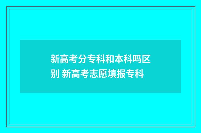 新高考分专科和本科吗区别 新高考志愿填报专科