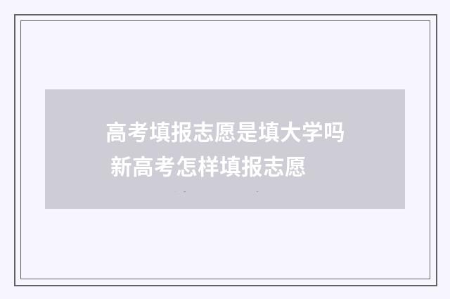 高考填报志愿是填大学吗 新高考怎样填报志愿