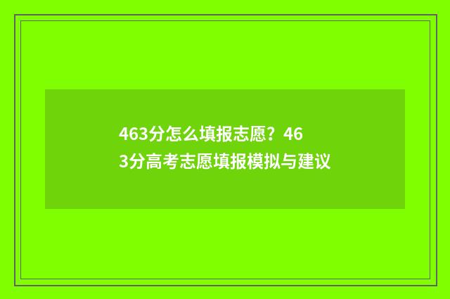 463分怎么填报志愿？463分高考志愿填报模拟与建议