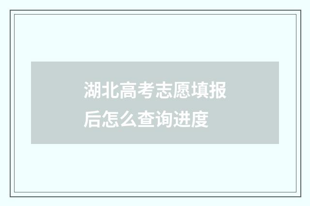 湖北高考志愿填报后怎么查询进度