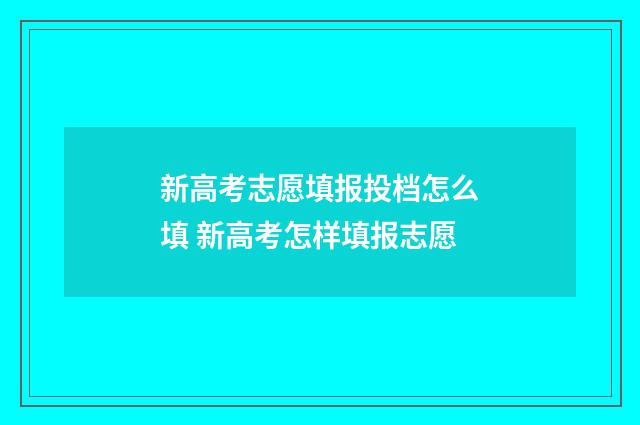 新高考志愿填报投档怎么填 新高考怎样填报志愿