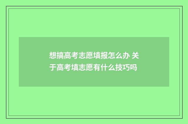 想搞高考志愿填报怎么办 关于高考填志愿有什么技巧吗