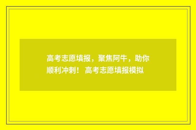 高考志愿填报，聚焦阿牛，助你顺利冲刺！ 高考志愿填报模拟