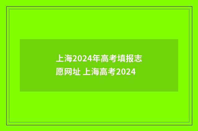 上海2024年高考填报志愿网址 上海高考2024