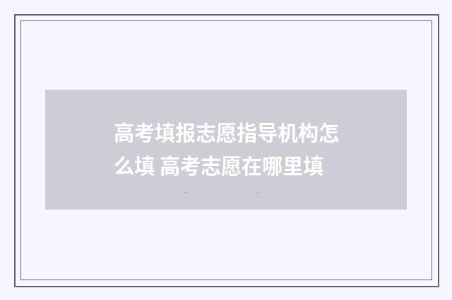 高考填报志愿指导机构怎么填 高考志愿在哪里填