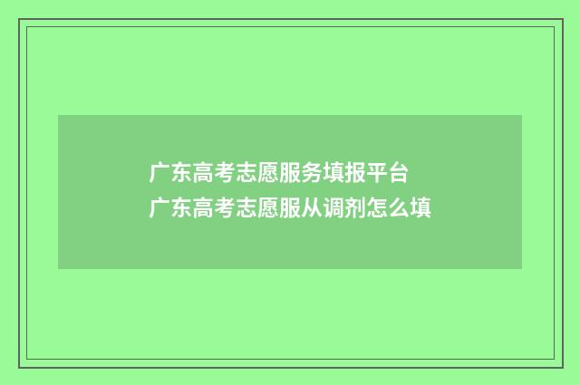 广东高考志愿服务填报平台 广东高考志愿服从调剂怎么填