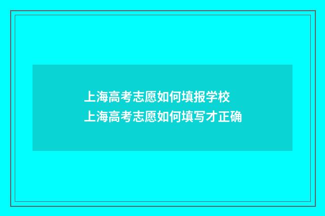 上海高考志愿如何填报学校 上海高考志愿如何填写才正确