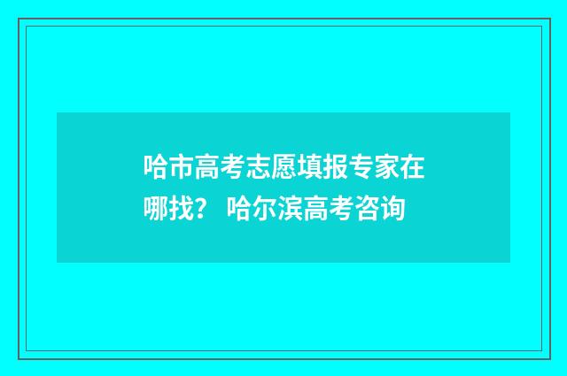 哈市高考志愿填报专家在哪找？ 哈尔滨高考咨询