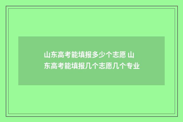 山东高考能填报多少个志愿 山东高考能填报几个志愿几个专业