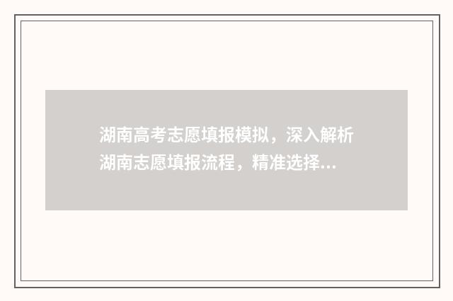 湖南高考志愿填报模拟，深入解析湖南志愿填报流程，精准选择心仪院校 湖南高考志愿填报表