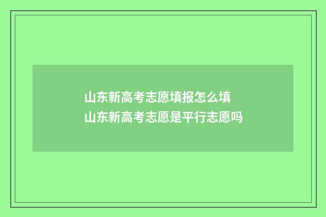 山东新高考志愿填报怎么填 山东新高考志愿是平行志愿吗
