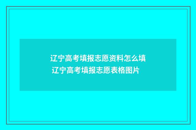 辽宁高考填报志愿资料怎么填 辽宁高考填报志愿表格图片