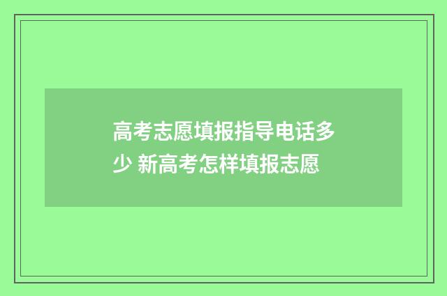 高考志愿填报指导电话多少 新高考怎样填报志愿
