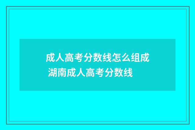 成人高考分数线怎么组成 湖南成人高考分数线