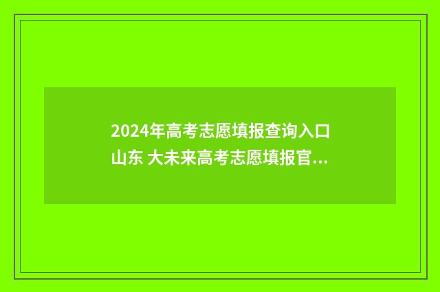 2024年高考志愿填报查询入口山东 大未来高考志愿填报官网
