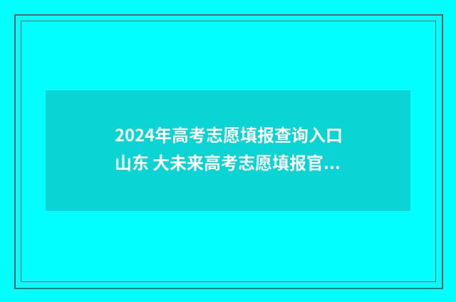 2024年高考志愿填报查询入口山东 大未来高考志愿填报官网