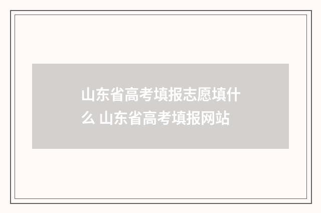 山东省高考填报志愿填什么 山东省高考填报网站