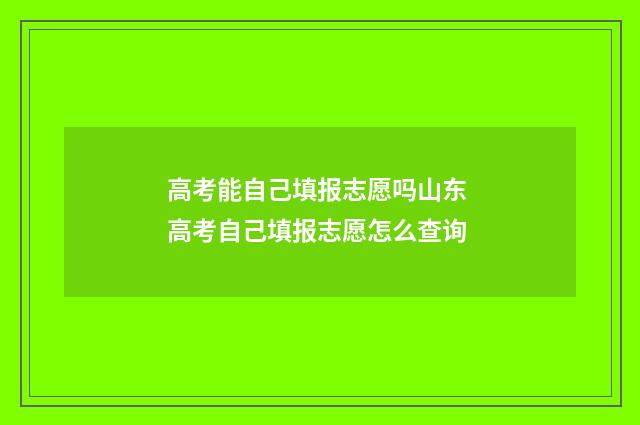 高考能自己填报志愿吗山东 高考自己填报志愿怎么查询