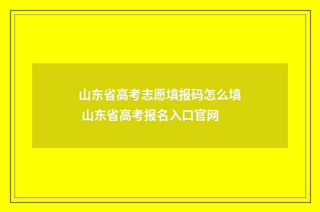 山东省高考志愿填报码怎么填 山东省高考报名入口官网