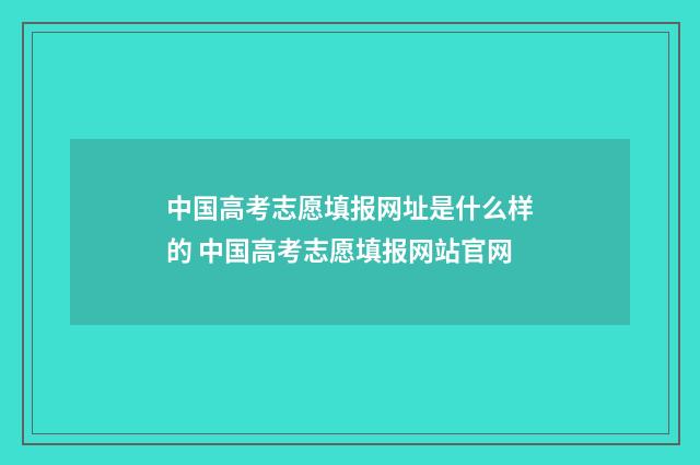 中国高考志愿填报网址是什么样的 中国高考志愿填报网站官网