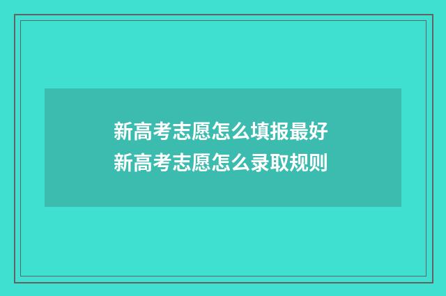 新高考志愿怎么填报最好 新高考志愿怎么录取规则