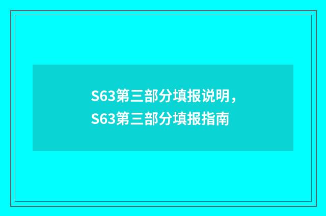 S63第三部分填报说明，S63第三部分填报指南