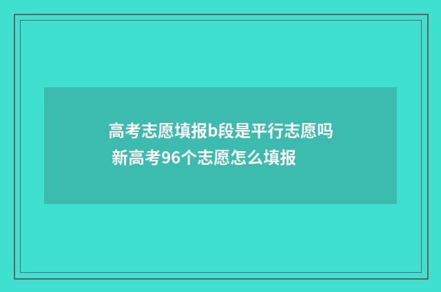 高考志愿填报b段是平行志愿吗 新高考96个志愿怎么填报