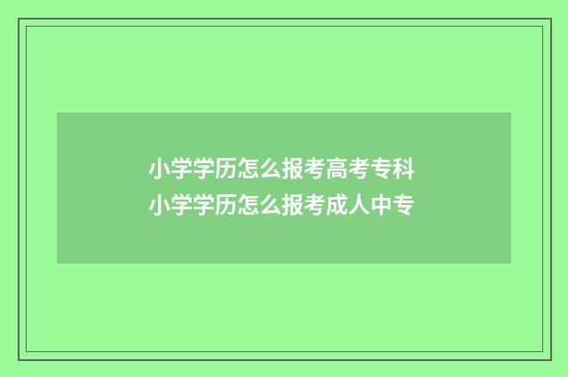 小学学历怎么报考高考专科 小学学历怎么报考成人中专