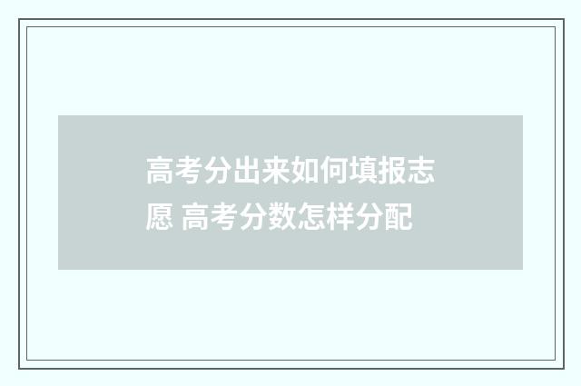 高考分出来如何填报志愿 高考分数怎样分配