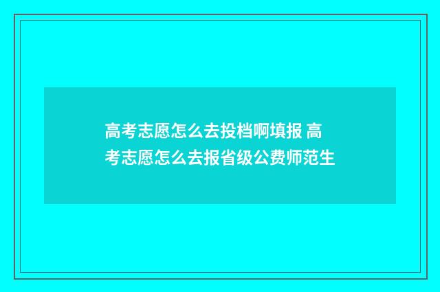 高考志愿怎么去投档啊填报 高考志愿怎么去报省级公费师范生