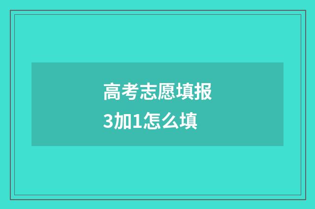 高考志愿填报3加1怎么填