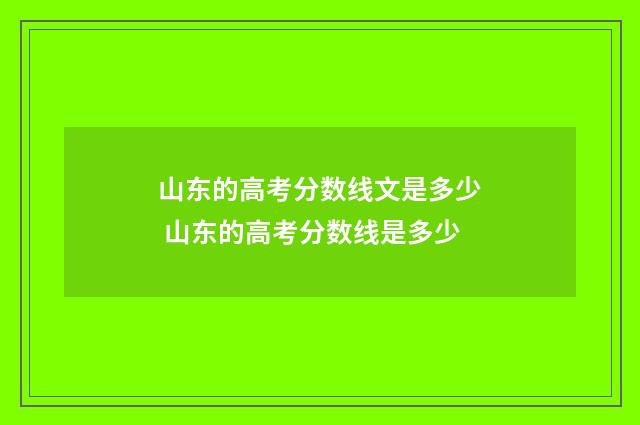 山东的高考分数线文是多少 山东的高考分数线是多少